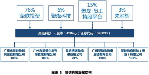 昊链科技 870033.oc 互联网 跨境供应链服务平台打造行业龙头丨价值大赛优秀研报